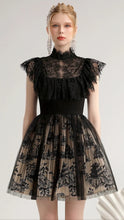 Load image into Gallery viewer, Loveliest Mesh Lace Black Mini Dress