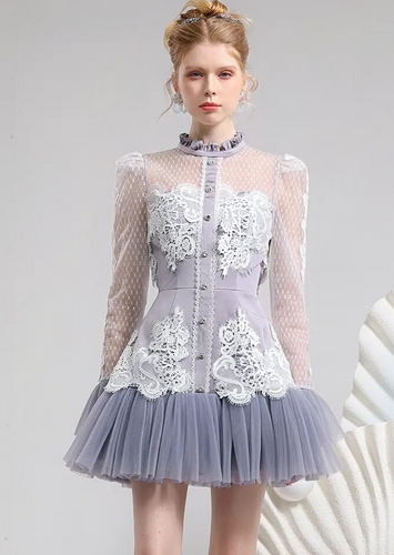 High End mesh & lace Mini Dress